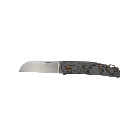Anso Monte Carlo TAD Edition