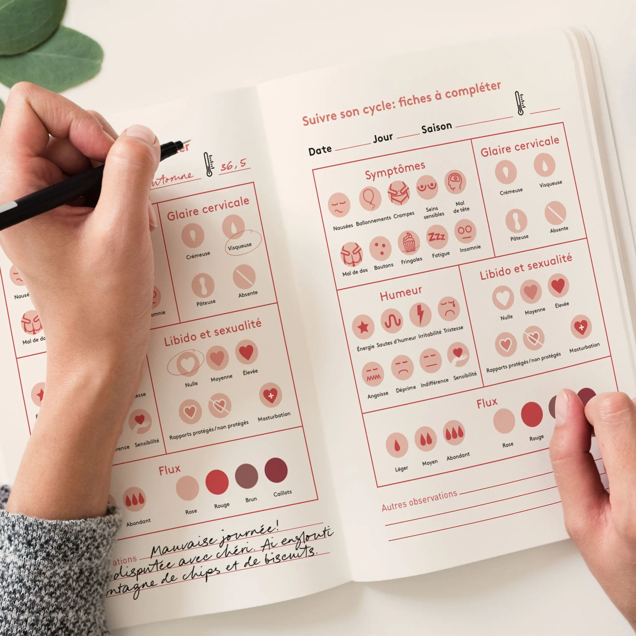 Livre “Journal intime menstruel”