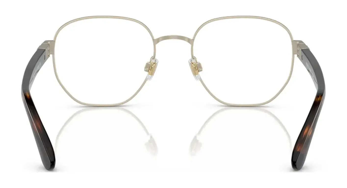Polo PH1224 Eyeglasses